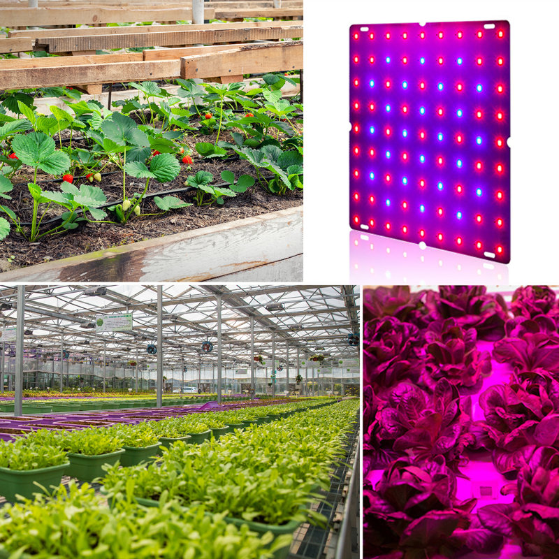 Aptoco Low Voltage Full Spectrum Indoor Plants Grow Lights 256 LED Grow Lights for Indoor Plants Wayfair